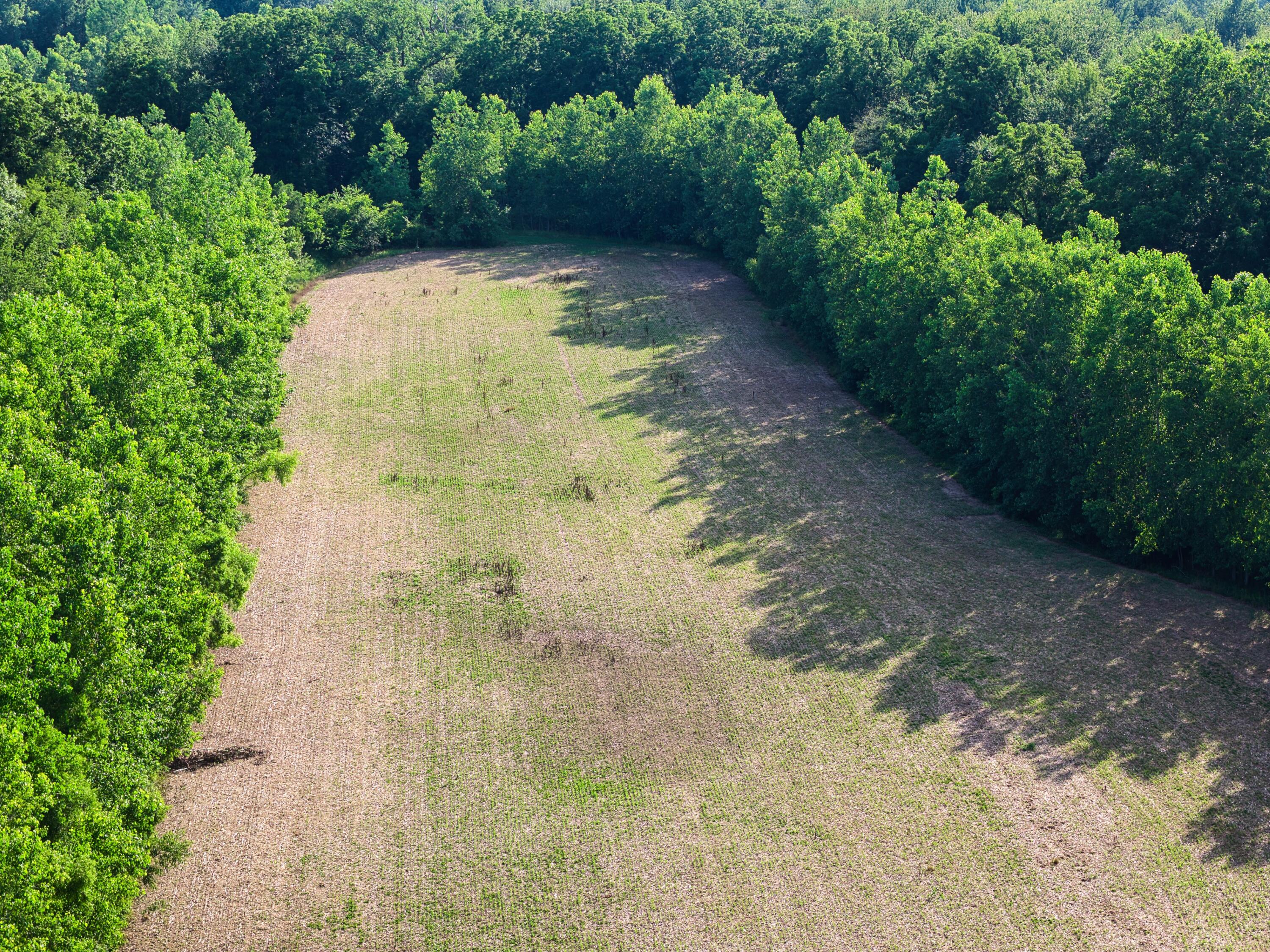 437 South Centennial Road Coldwater, MI 49036 - Photo 29 of 36 437 S Centennial - CDS - 7-8-26_11