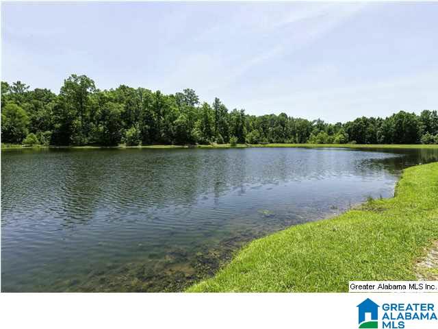 2736 Oakleaf Circle Helena, AL 35022 - Photo 27 of 29