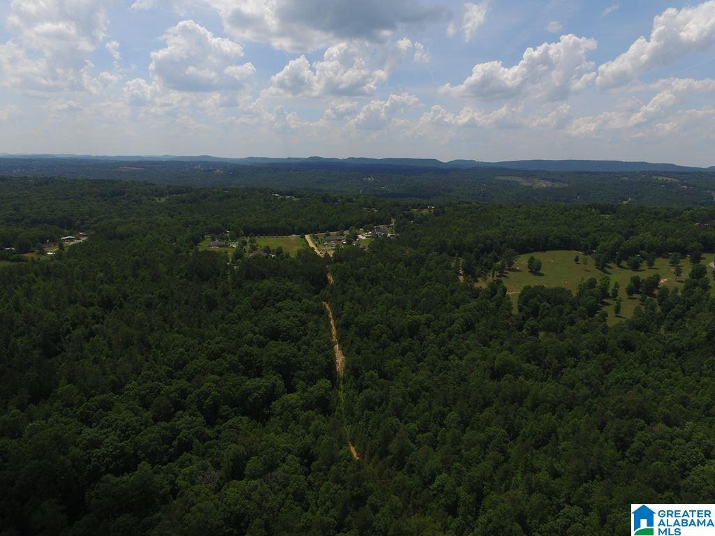 12 County Road, Unit 103 Odenville, AL 35120 - Photo 6 of 8