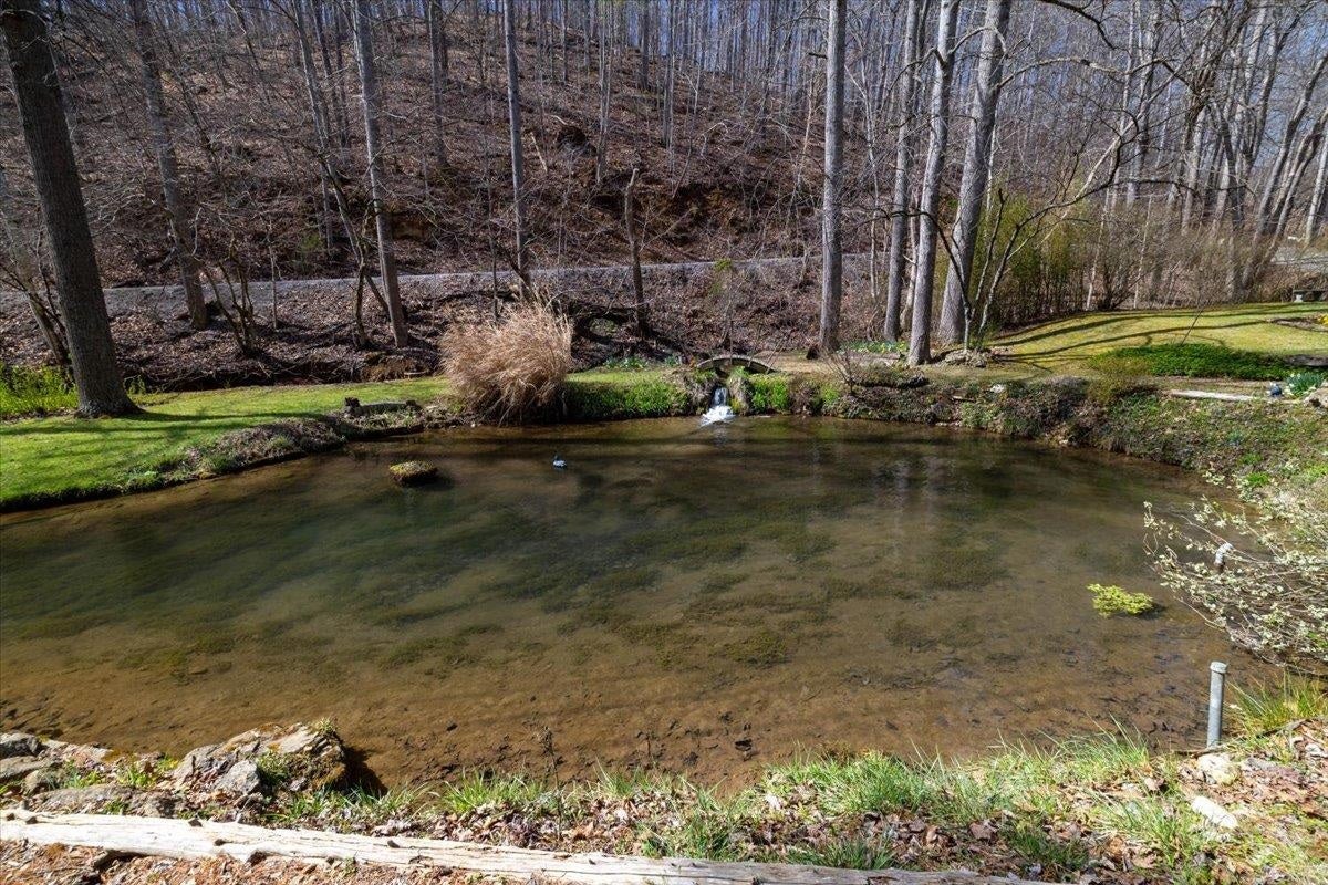 1256 Falling Branch Road Christiansburg, VA 24073 - Photo 48 of 63 Gallery Image 48