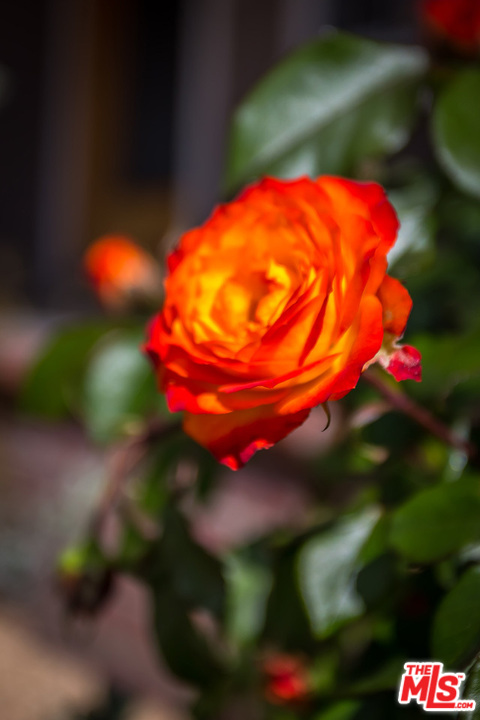 12643 Collins Street Valley Village, CA 91607 - Photo 34 of 34