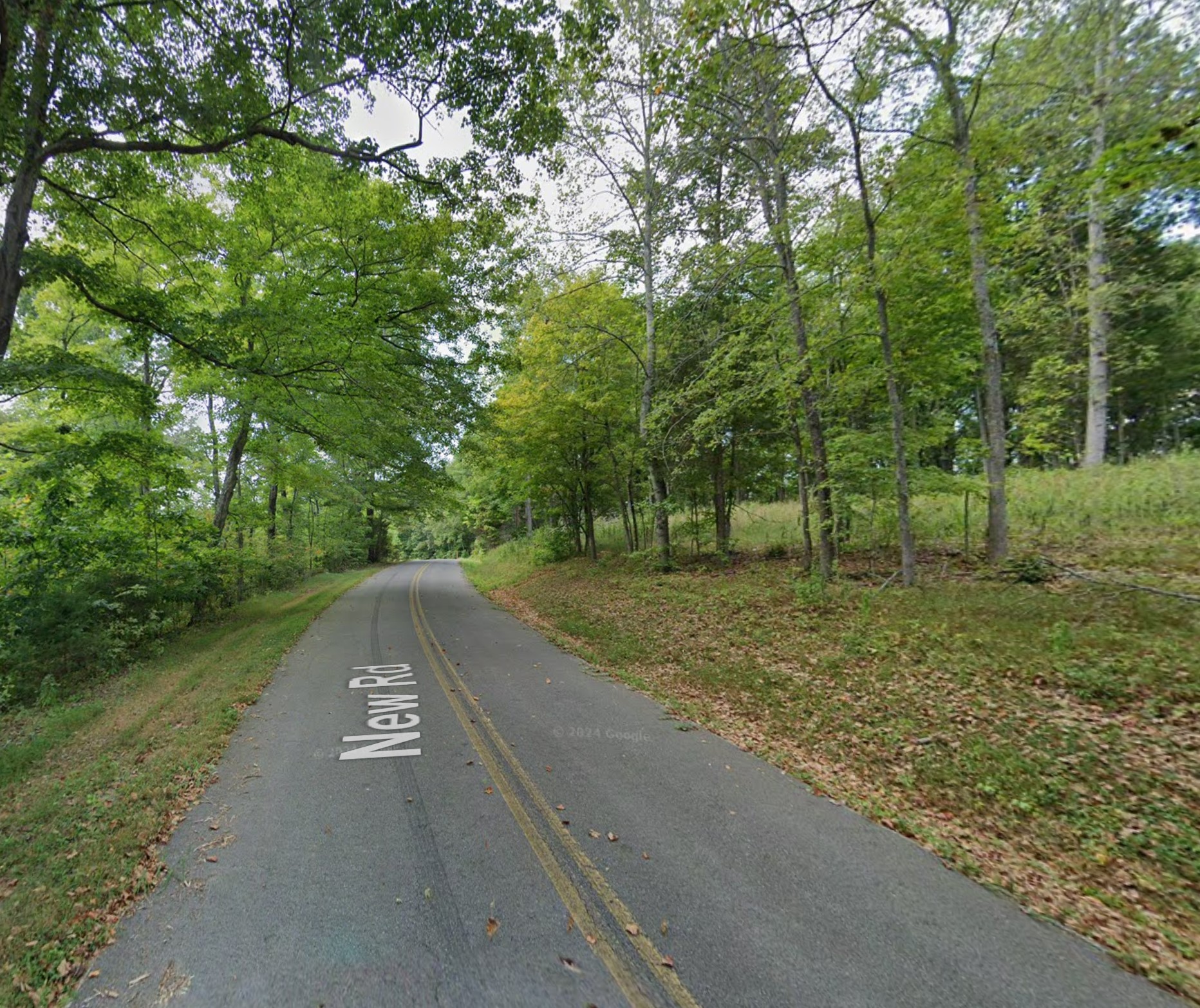 795 New Road Clarksville, TN 37040 - Photo 2 of 3 a view of a street with a yard and trees