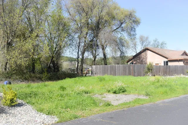 a view of a backyard with potted plants and large trees