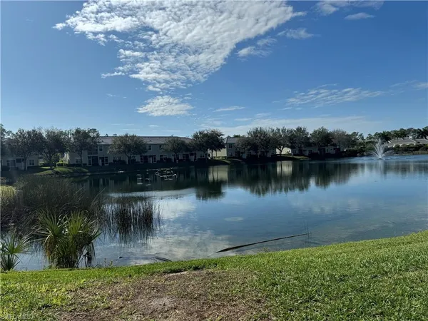 a view of a lake in middle of the forest