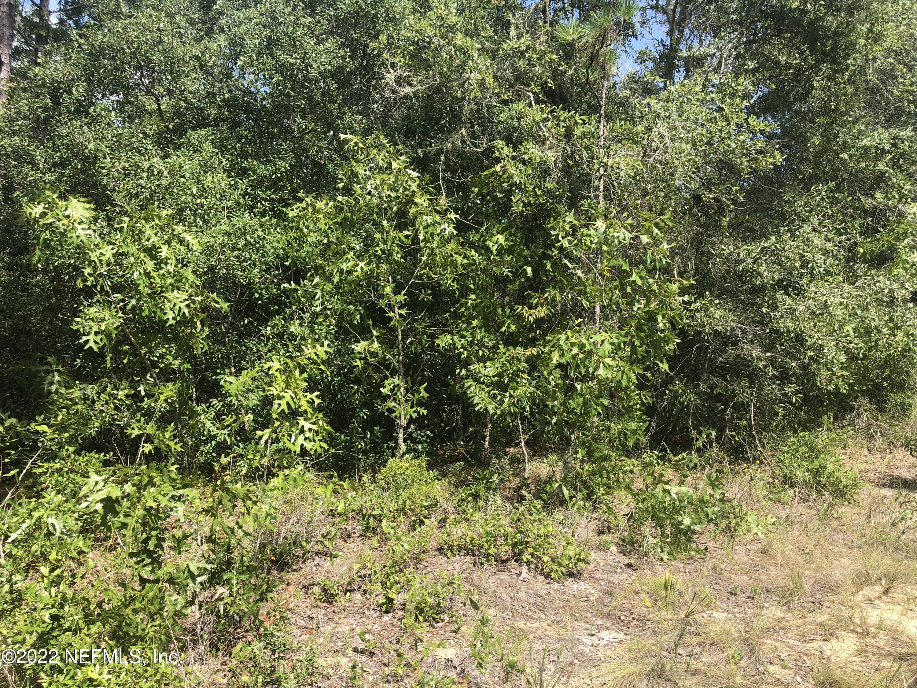 4579 Alan Lake Road Keystone Heights, FL 32656 - Photo 2 of 4 IMG_0565