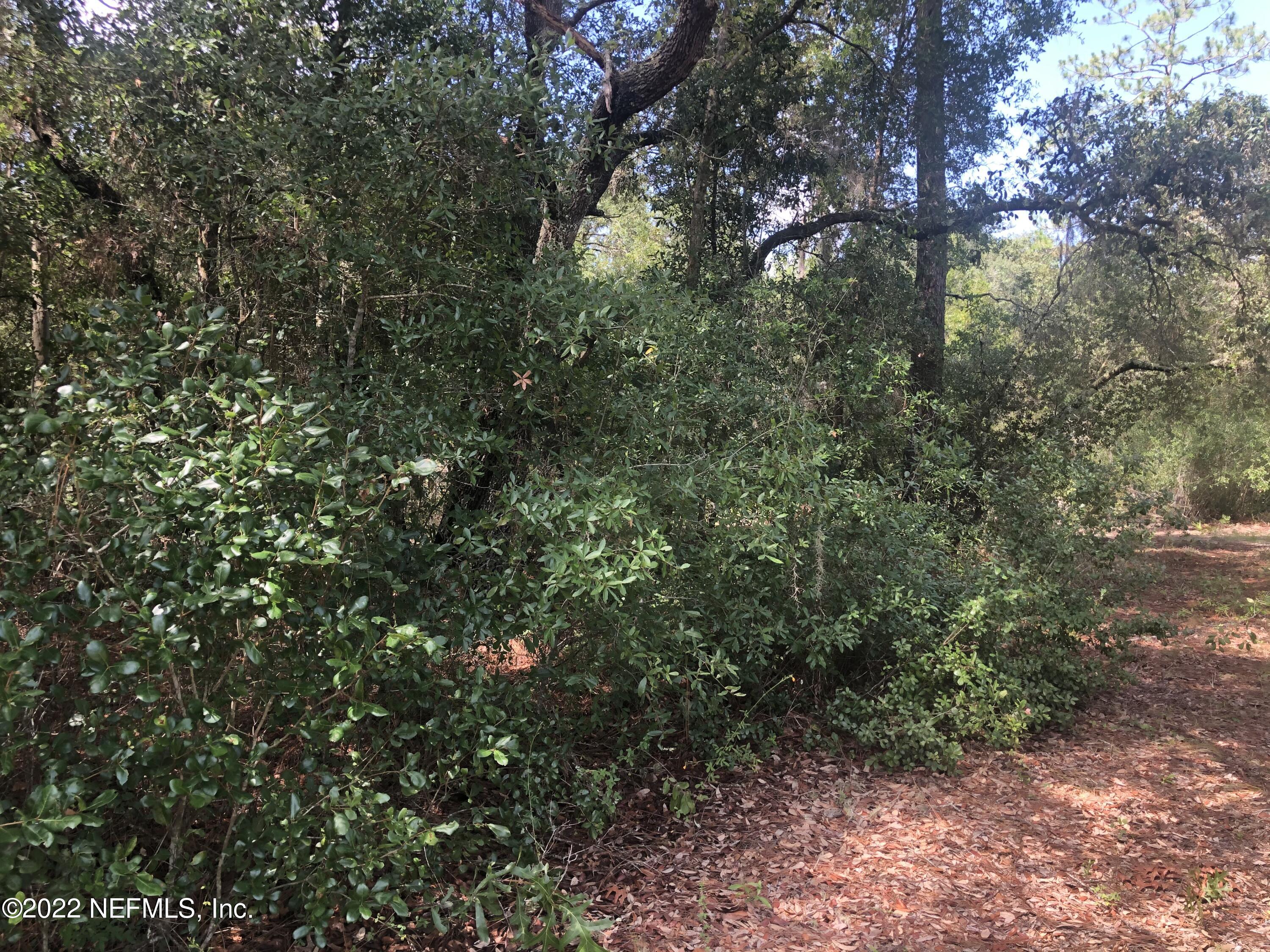 4579 Alan Lake Road Keystone Heights, FL 32656 - Photo 3 of 4 IMG_0566