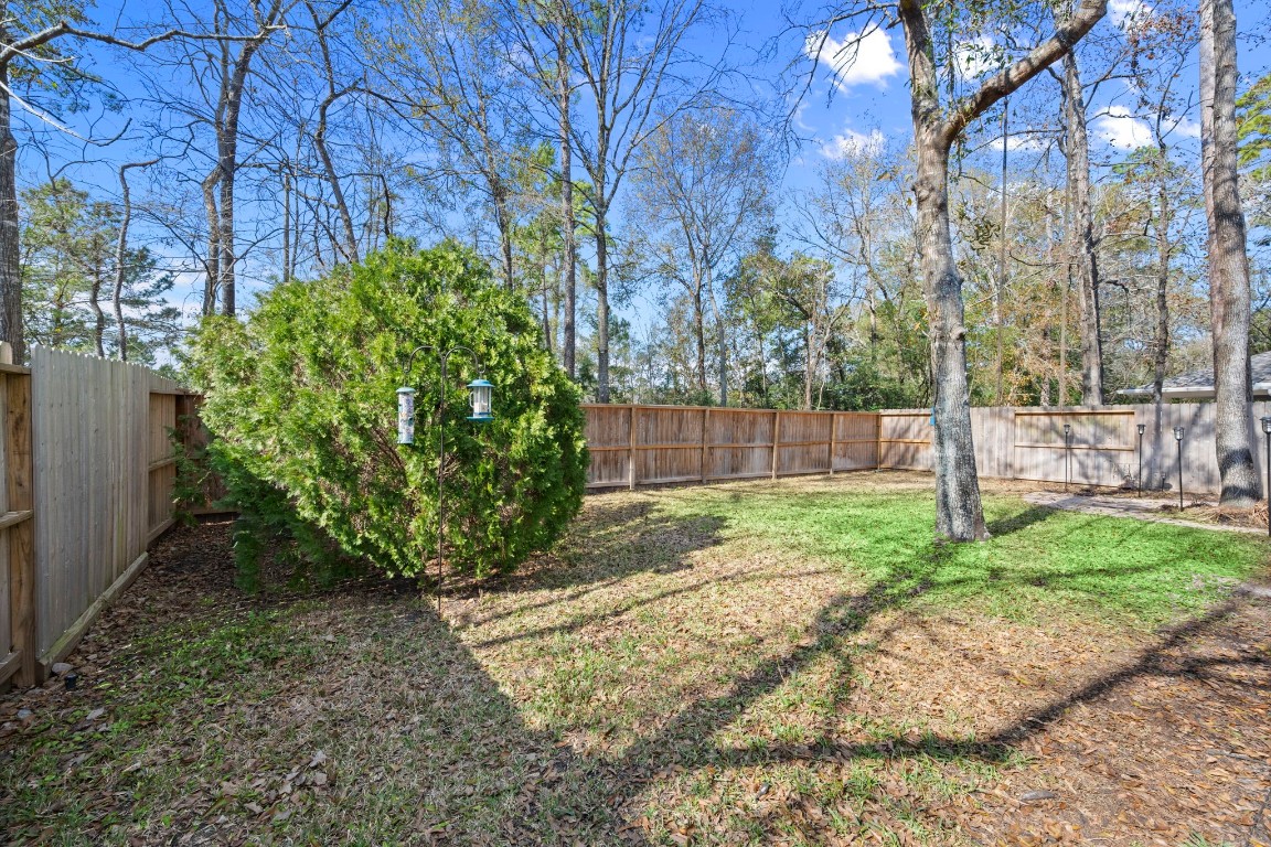 7 Delta Mill Court Conroe, TX 77385 - Photo 25 of 25 a backyard of a house with lots of green space