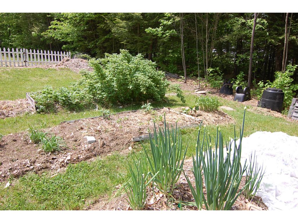 64 Pattee Road Warner, NH 03278 - Photo 3 of 17