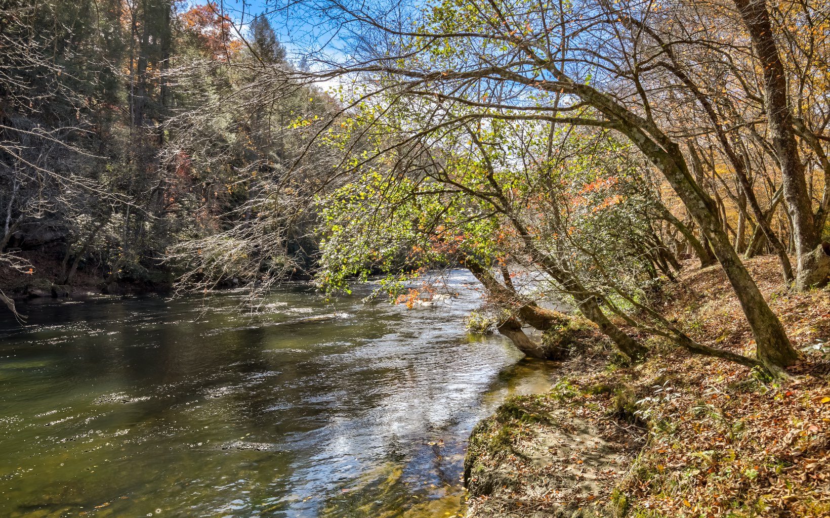 15 Kiki's River Road Blue Ridge, GA 30513 - Photo 16 of 32