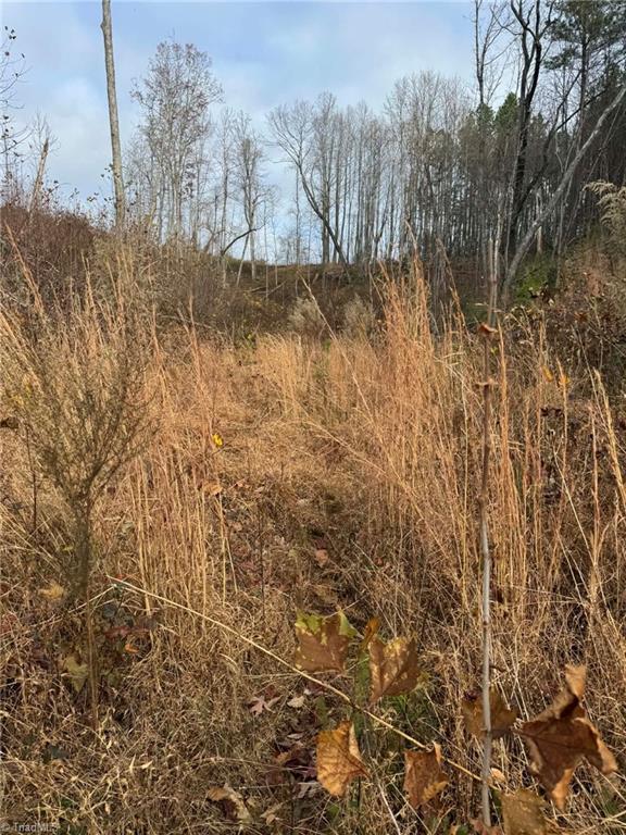 Tbd Old Railroad Grade Road Thurmond, NC 28683 - Photo 15 of 26