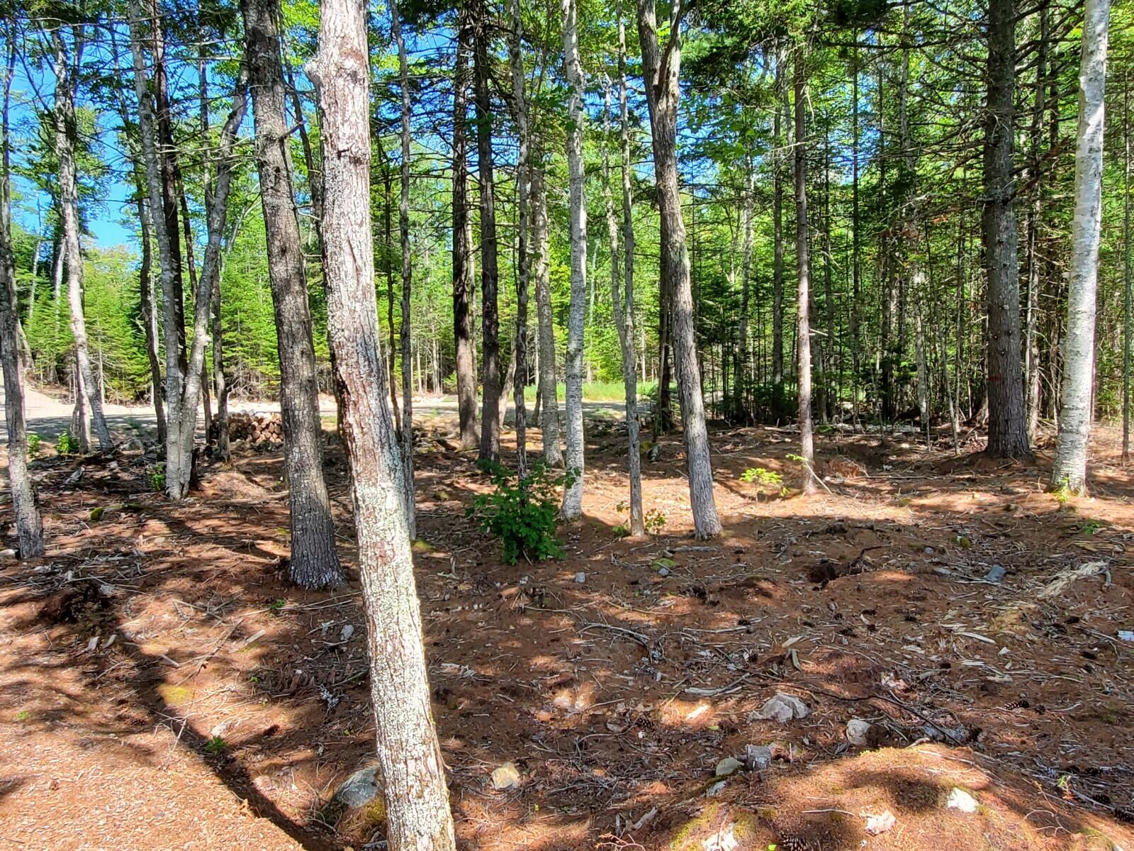 1 Birch Point Road Cooper, ME 04657 - Photo 8 of 11 20210816_124641