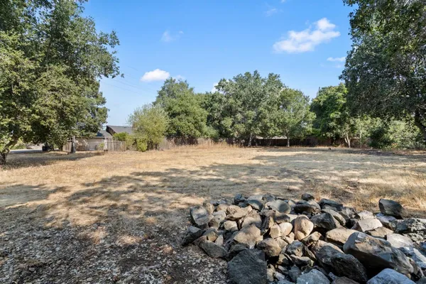 a view of a yard with lots of trees