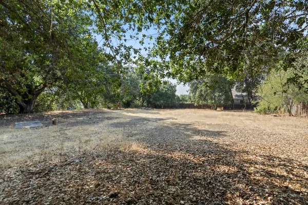 a view of outdoor space with yard
