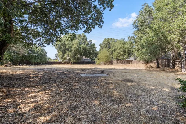 a view of dirt yard with large trees