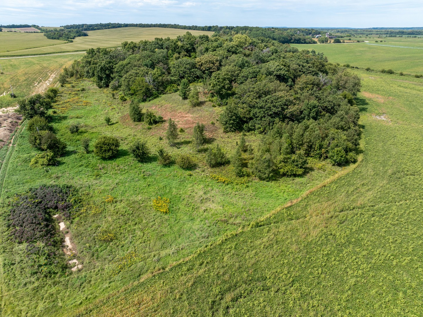 0 Wheeler Road Durand, IL 61024 - Photo 11 of 44