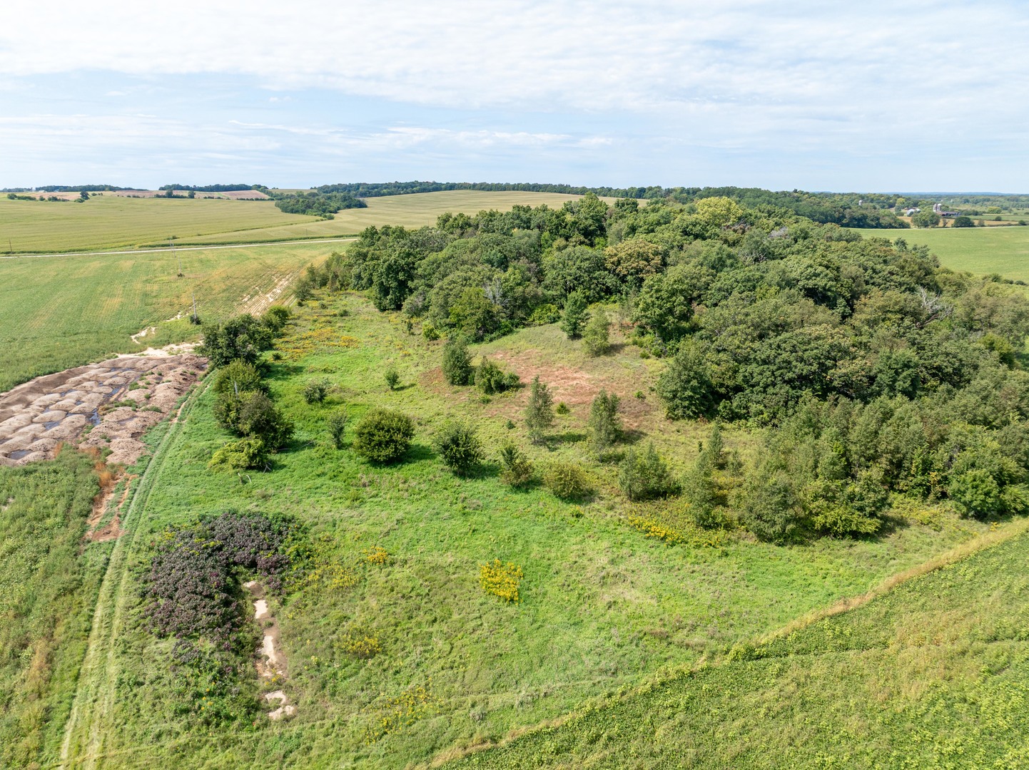 0 Wheeler Road Durand, IL 61024 - Photo 12 of 44