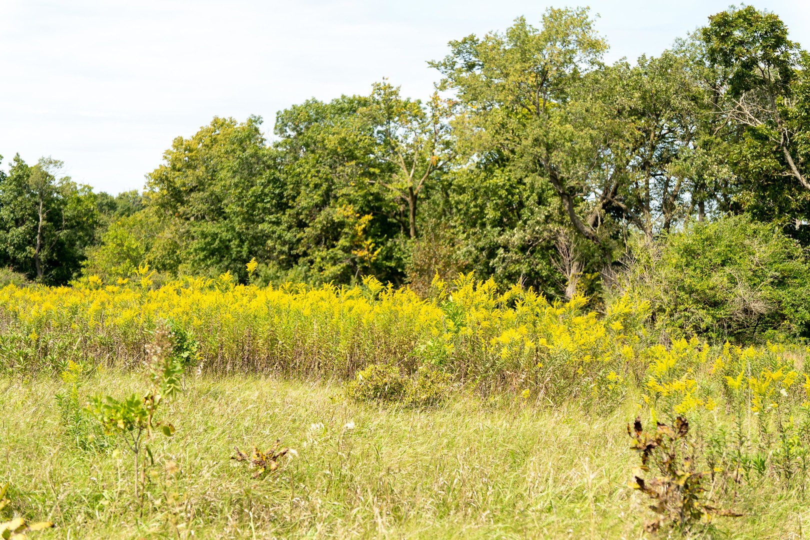 0 Wheeler Road Durand, IL 61024 - Photo 32 of 44