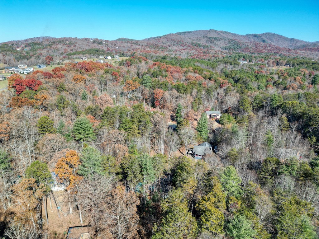 518 Rizzitello Lane Blairsville, GA 30512 - Photo 41 of 44 a view of a mountain in the distance