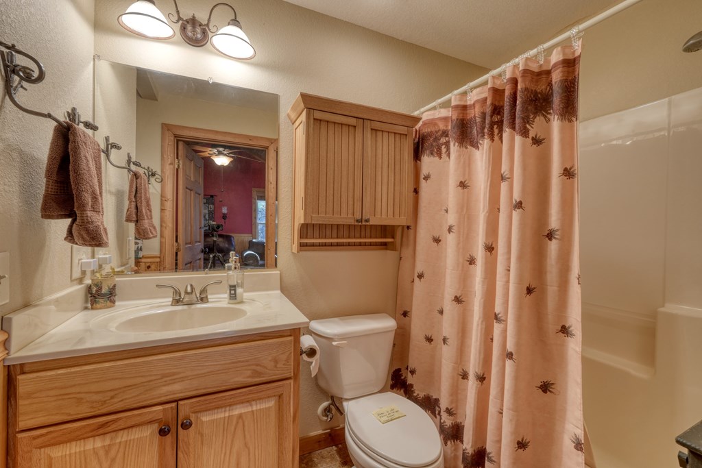 518 Rizzitello Lane Blairsville, GA 30512 - Photo 10 of 44 a bathroom with a sink a toilet a mirror a vanity and shower
