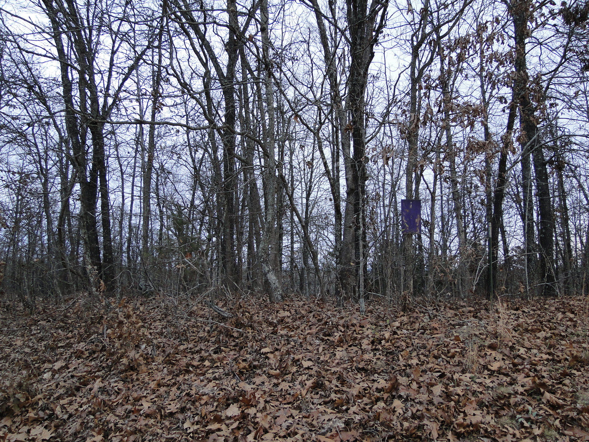 County Rd County Road Drury, MO 65638 - Photo 1 of 1 DSC00584