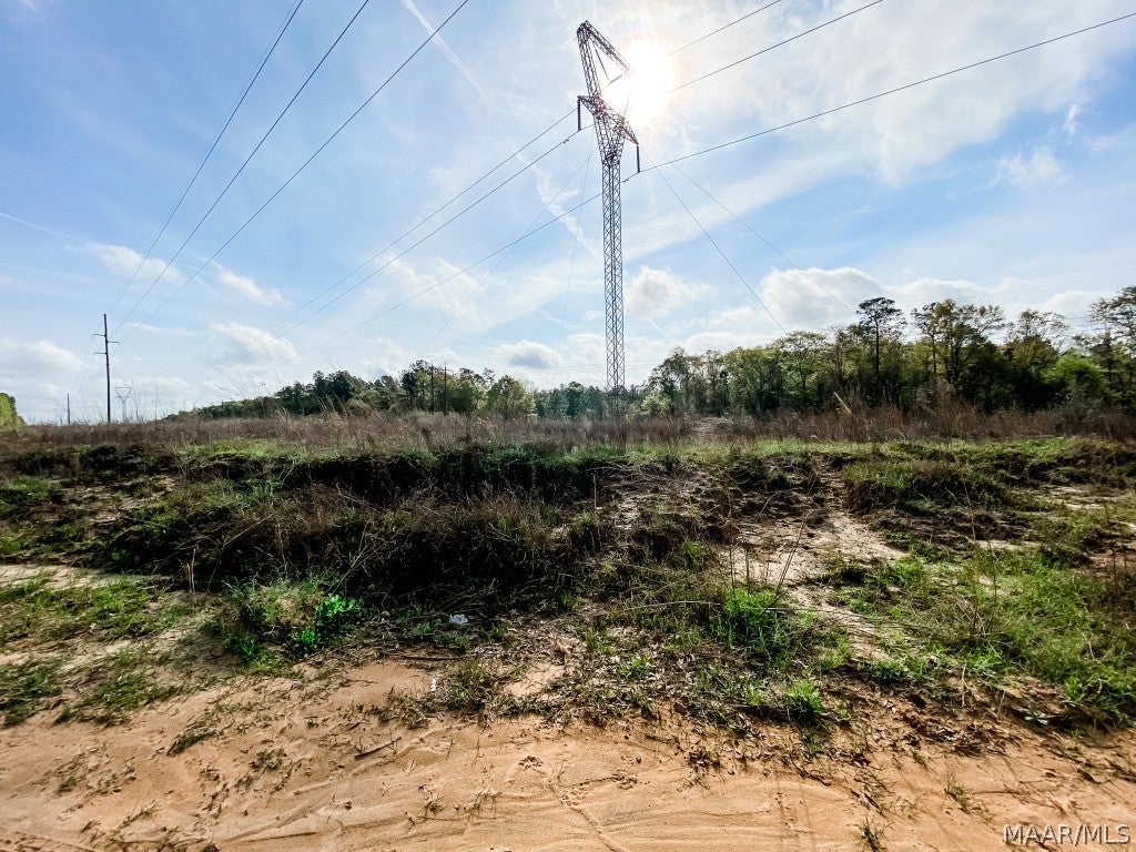 0 Open Pond Road Samson, AL 36477 - Photo 17 of 20 Gallery Image 17