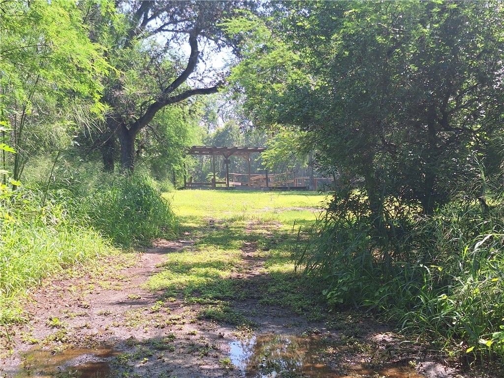 0 County Road Robstown, TX 78380 - Photo 17 of 17