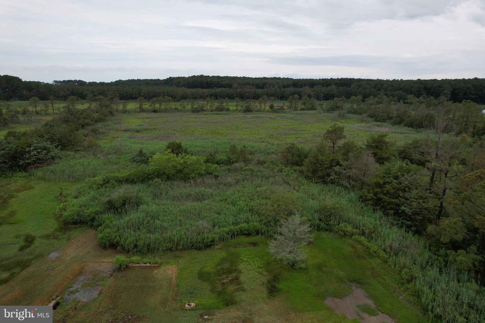 26286 Byrd Road Crisfield, MD 21817 - Photo 9 of 9 Back Aerial View towards Jane Island State Park