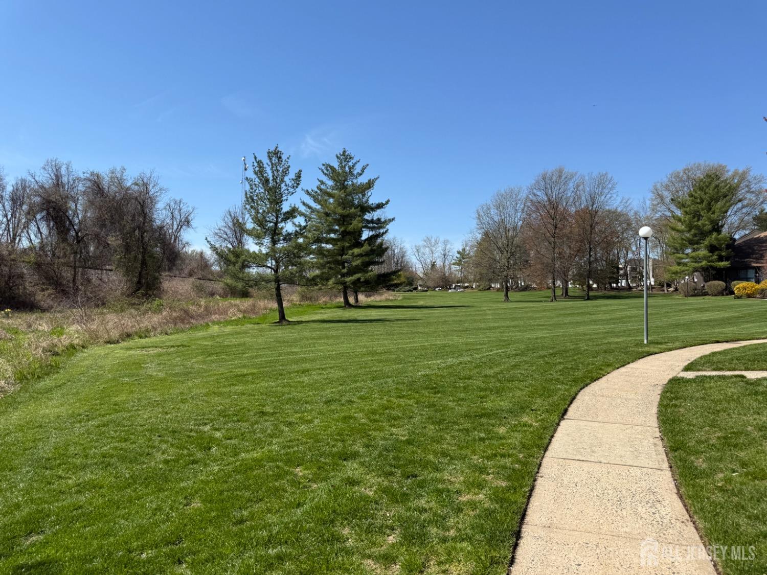 136 Westgate Drive Edison, NJ 08820 - Photo 17 of 17 a view of a park with large trees