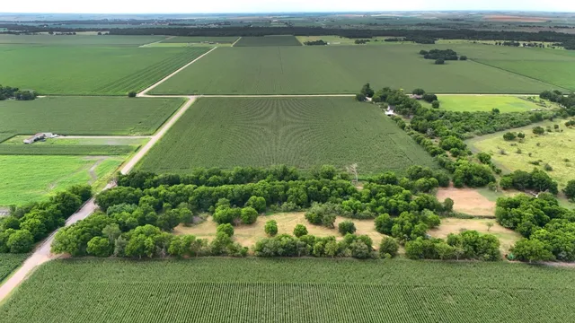 $1,174,999 | 780 County Road 389, Granger, TX 76530