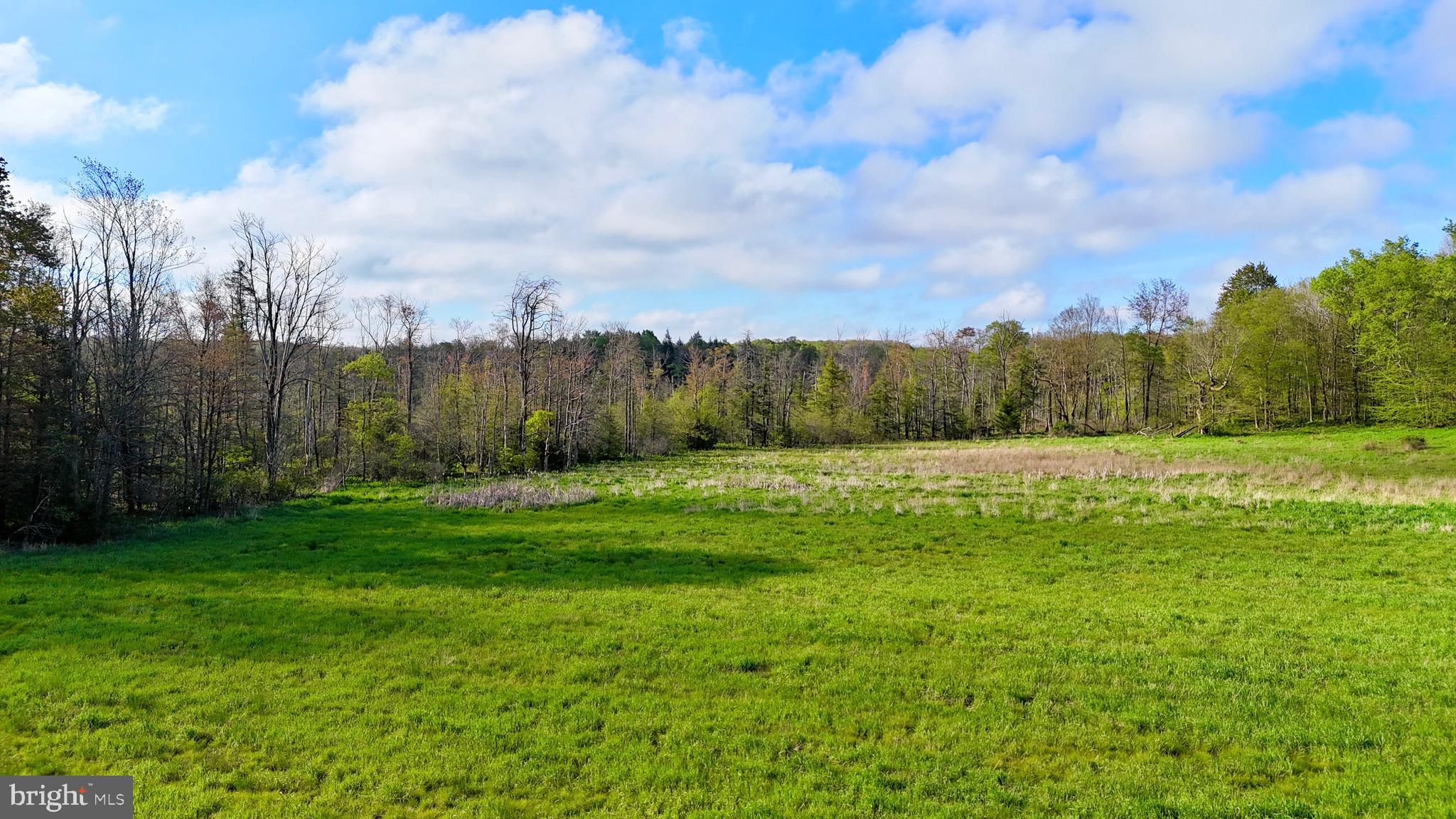 1362 Coleman Station Road Friedens, PA 15541 - Photo 7 of 25 Gallery Image 7