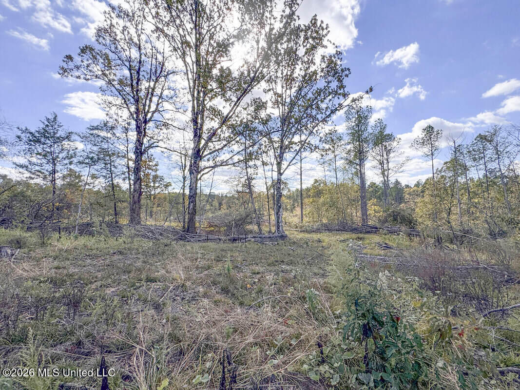154 County Road Tillatoba, MS 38961 - Photo 53 of 58 4kgrdnyba21-orig_orig