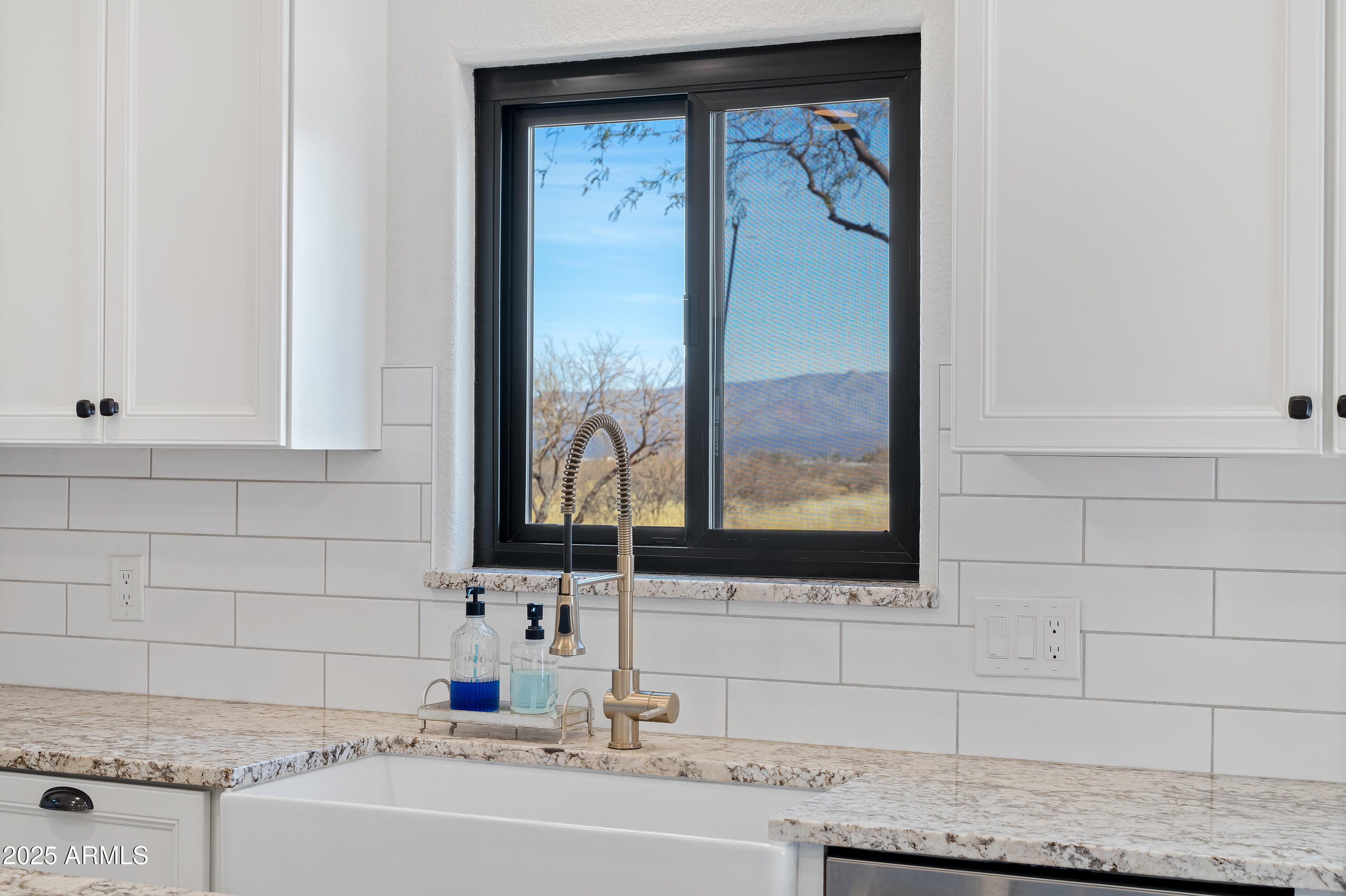 6701 South Moson Road Hereford, AZ 85615 - Photo 31 of 133 4 Details-7
