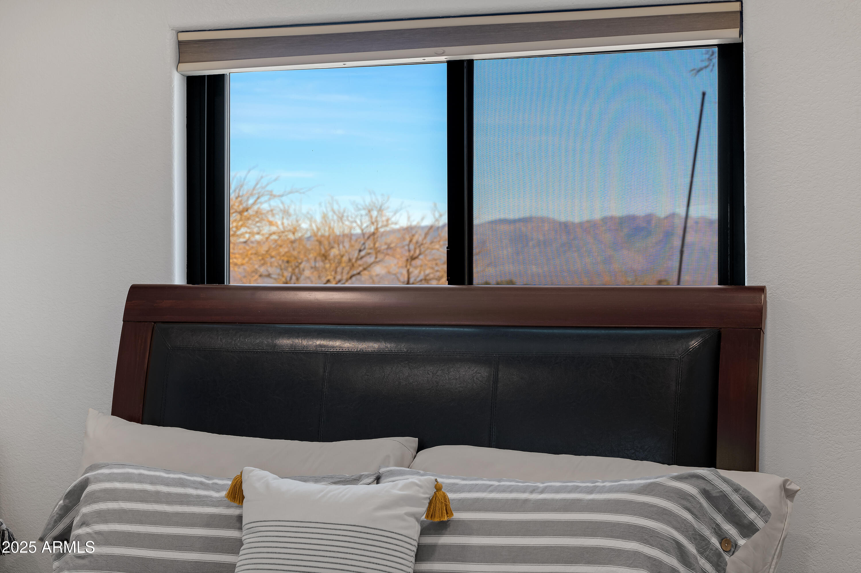 6701 South Moson Road Hereford, AZ 85615 - Photo 52 of 133 4 Details-13