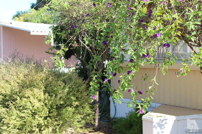 1225 South Rice Road, Unit 35 Ojai, CA 93023 - Photo 8 of 19 a picture of flowers