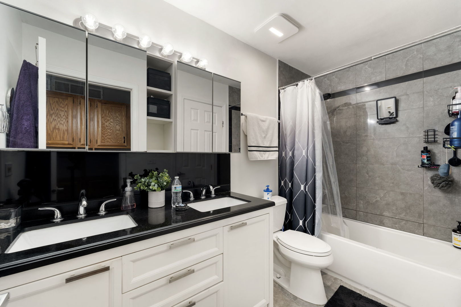 24 Fillmore Lane Streamwood, IL 60107 - Photo 19 of 35 a bathroom with a sink a toilet and shower