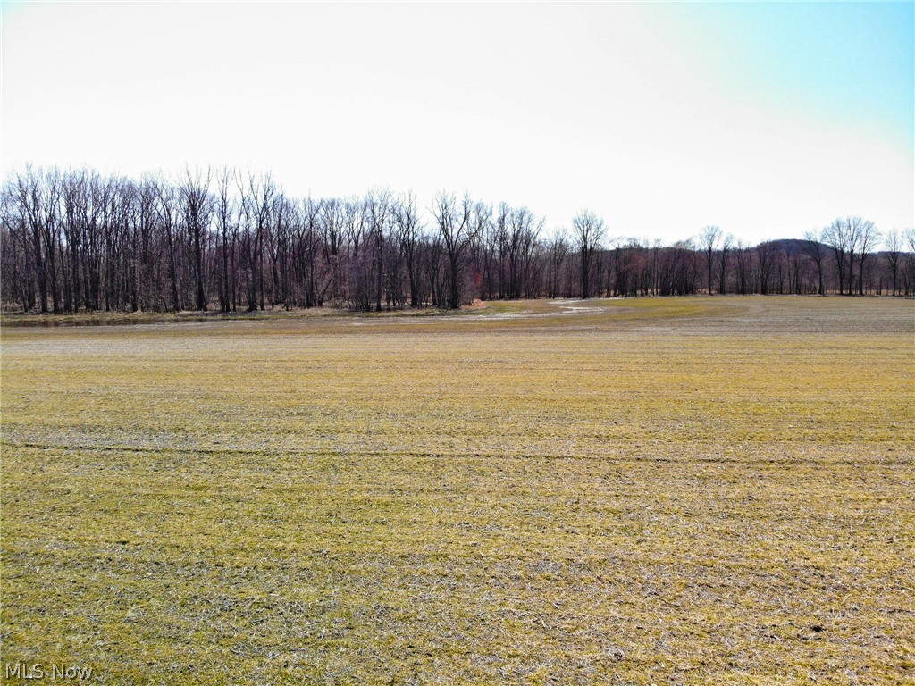 2954 South Funk Road Wooster, OH 44691 - Photo 19 of 35 Gallery Image 19