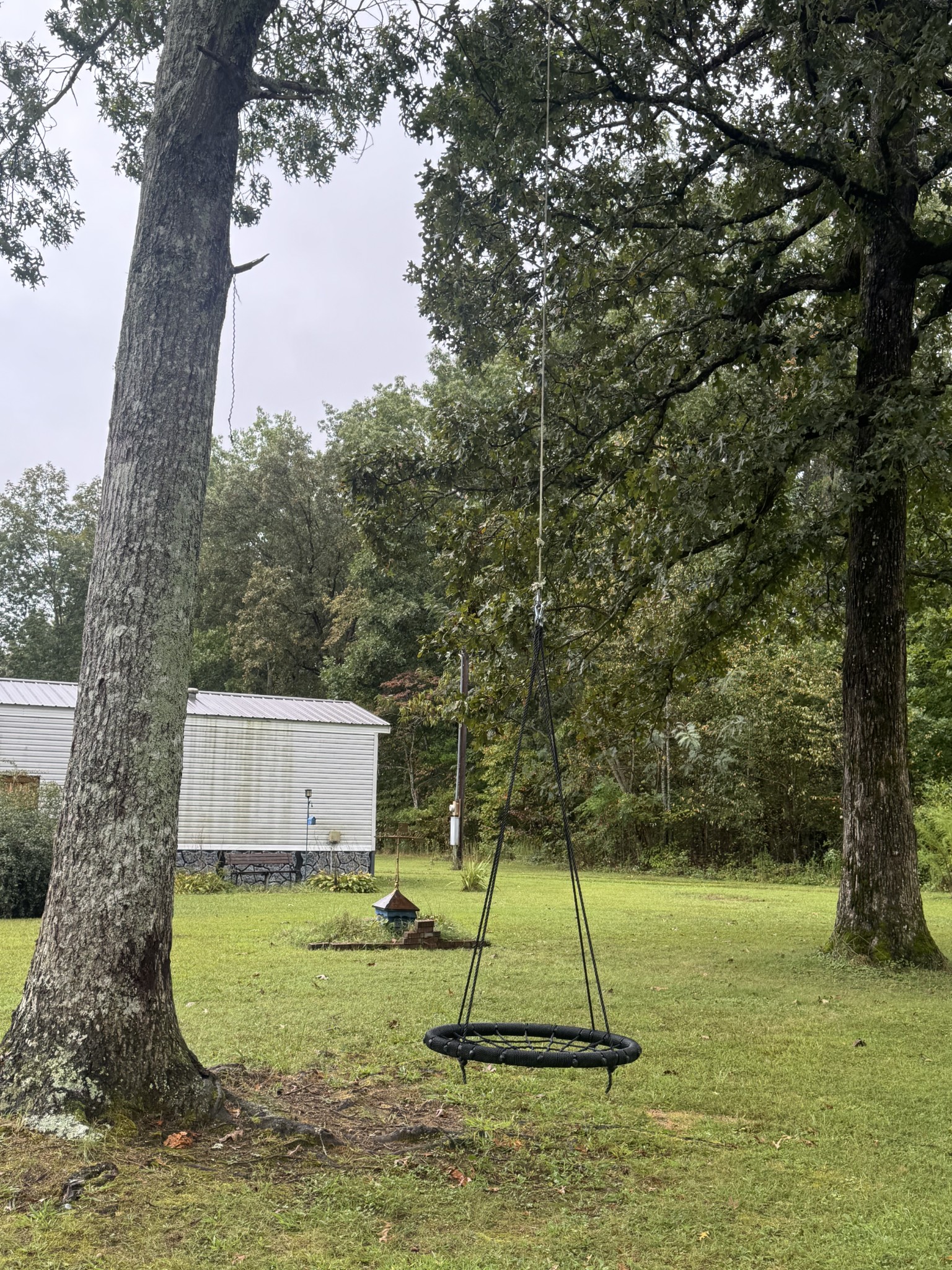 79 Sharps Lane Beechgrove, TN 37018 - Photo 23 of 29 a view of a yard with a tree