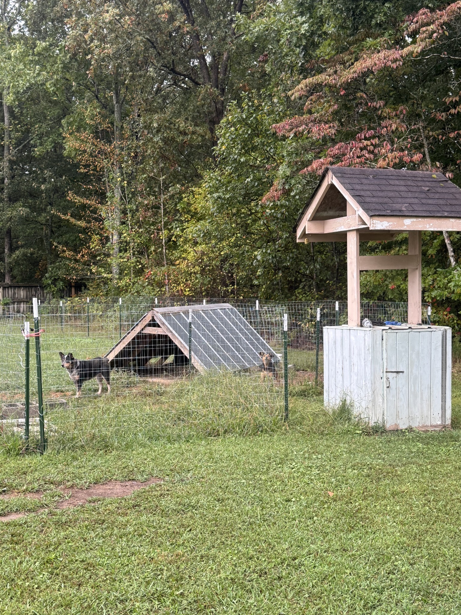 79 Sharps Lane Beechgrove, TN 37018 - Photo 27 of 29 a backyard of a house with table and chairs