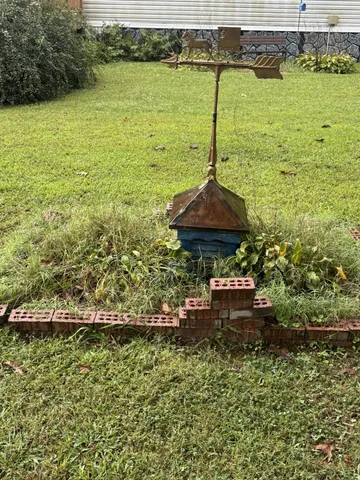 a view of a field with a tree