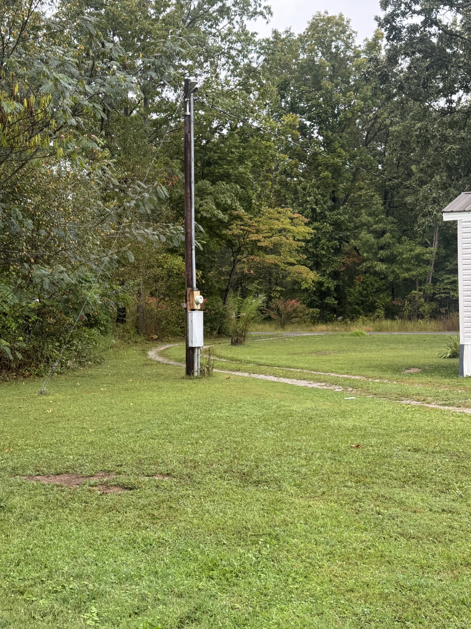 79 Sharps Lane Beechgrove, TN 37018 - Photo 29 of 29 a view of a field with a tree