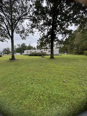 a view of a field with an trees