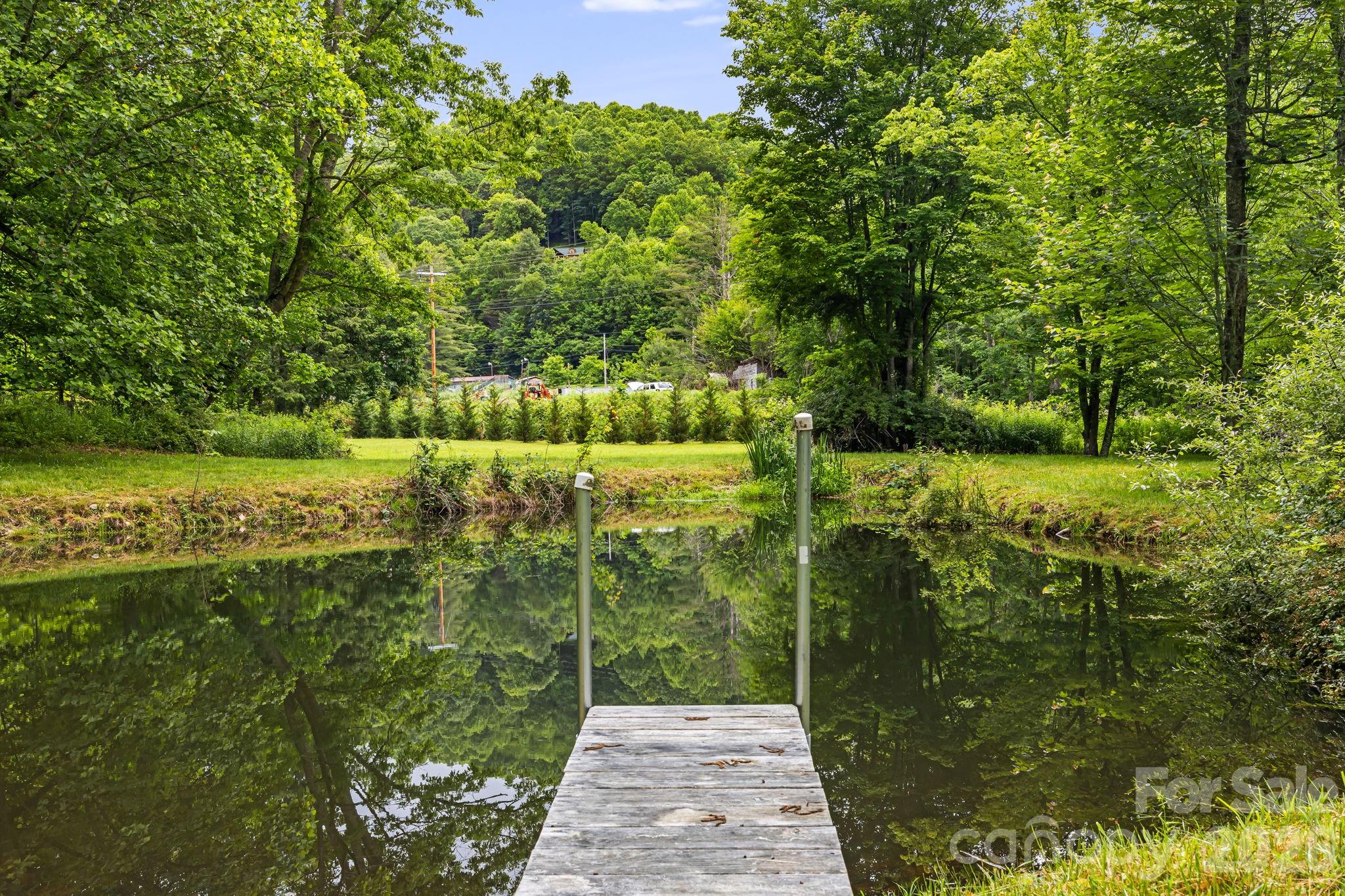 3245 Puncheon Fork Road Mars Hill, NC 28754 - Photo 8 of 48