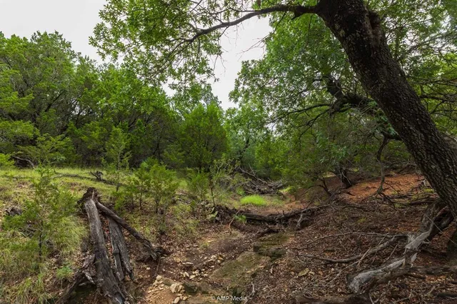 a view of a field of grass and trees