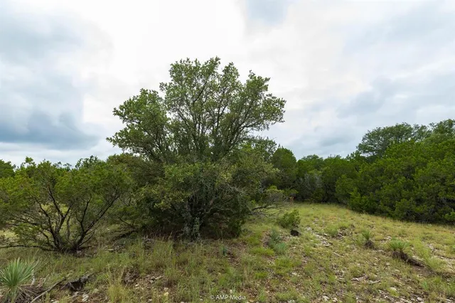 a view of a field with trees in the background