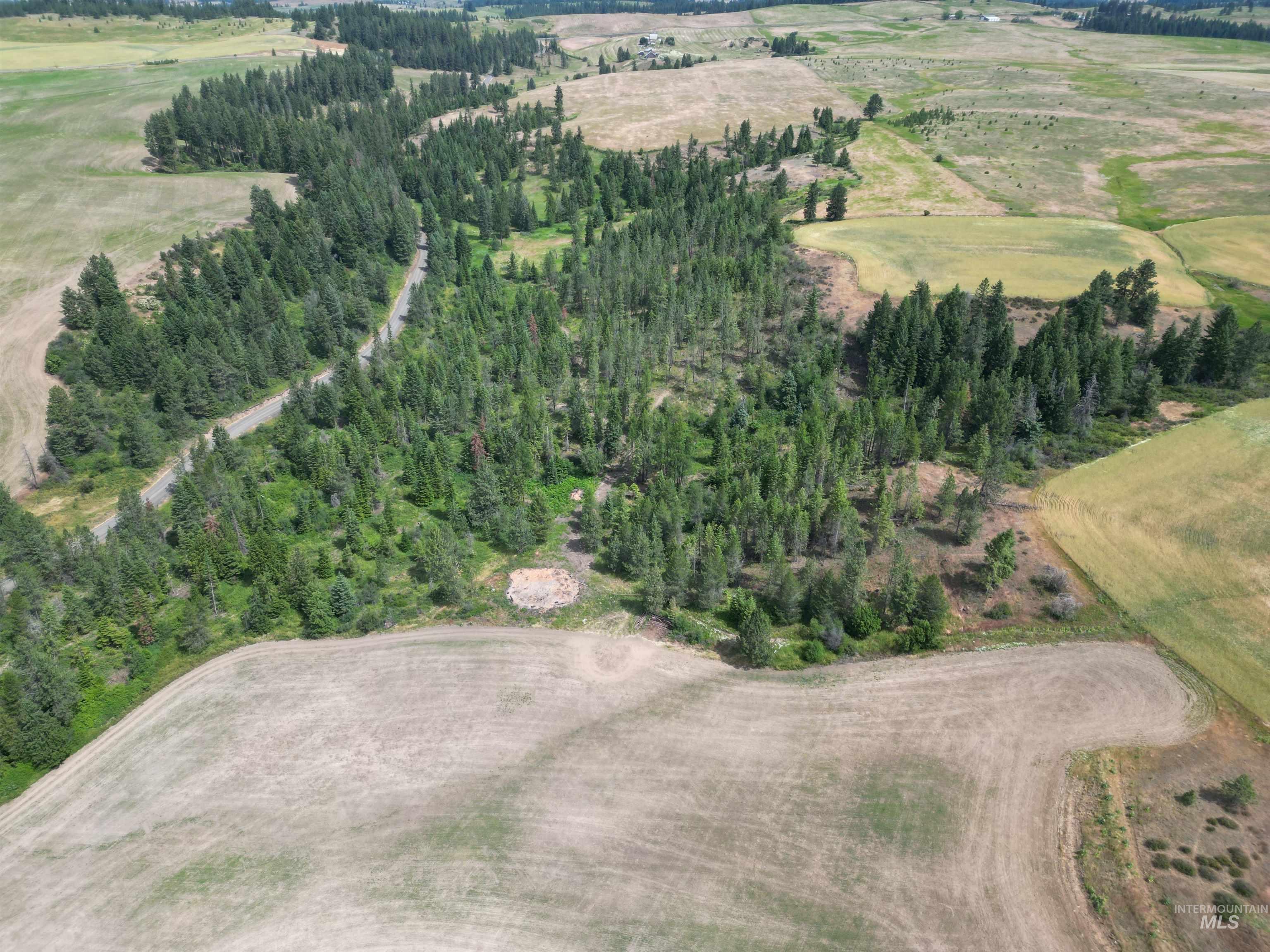 1044 Clemenhagen Road Kendrick, ID 83537 - Photo 41 of 49