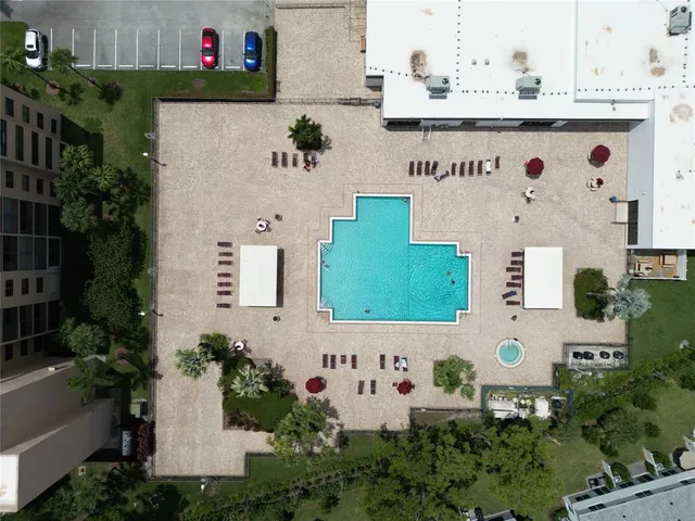 a view of a lake with palm trees