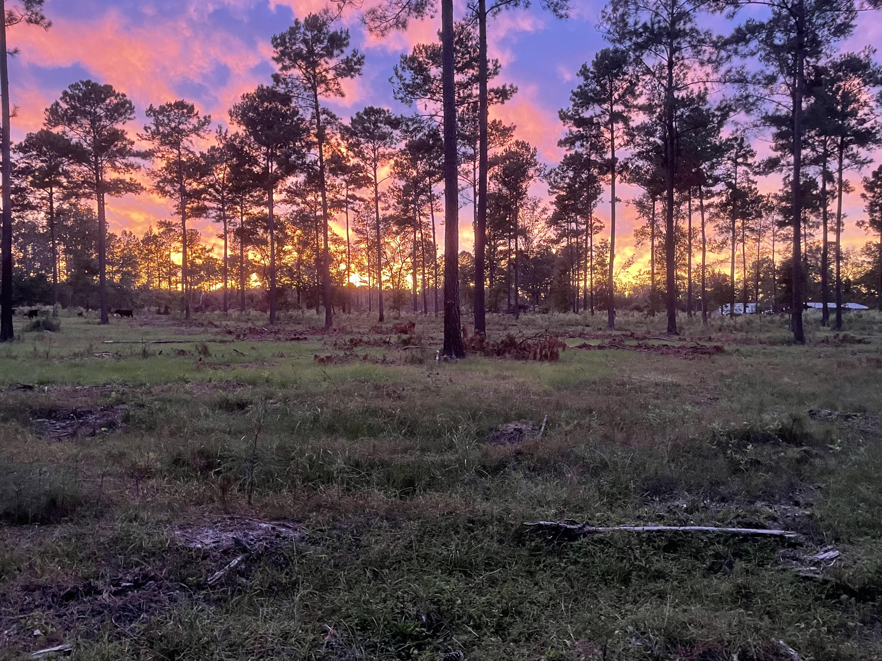 1647 Smoak Road Walterboro, SC 29488 - Photo 6 of 39 IMG_6308