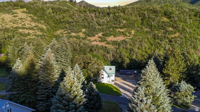 10686 South Covered Brg Cyn Road, Unit 14 Spanish Fork, UT 84660 - Photo 9 of 44 White siding residence with a green roof, set against a backdrop of natural hillsides and surrounded by mature evergreen trees