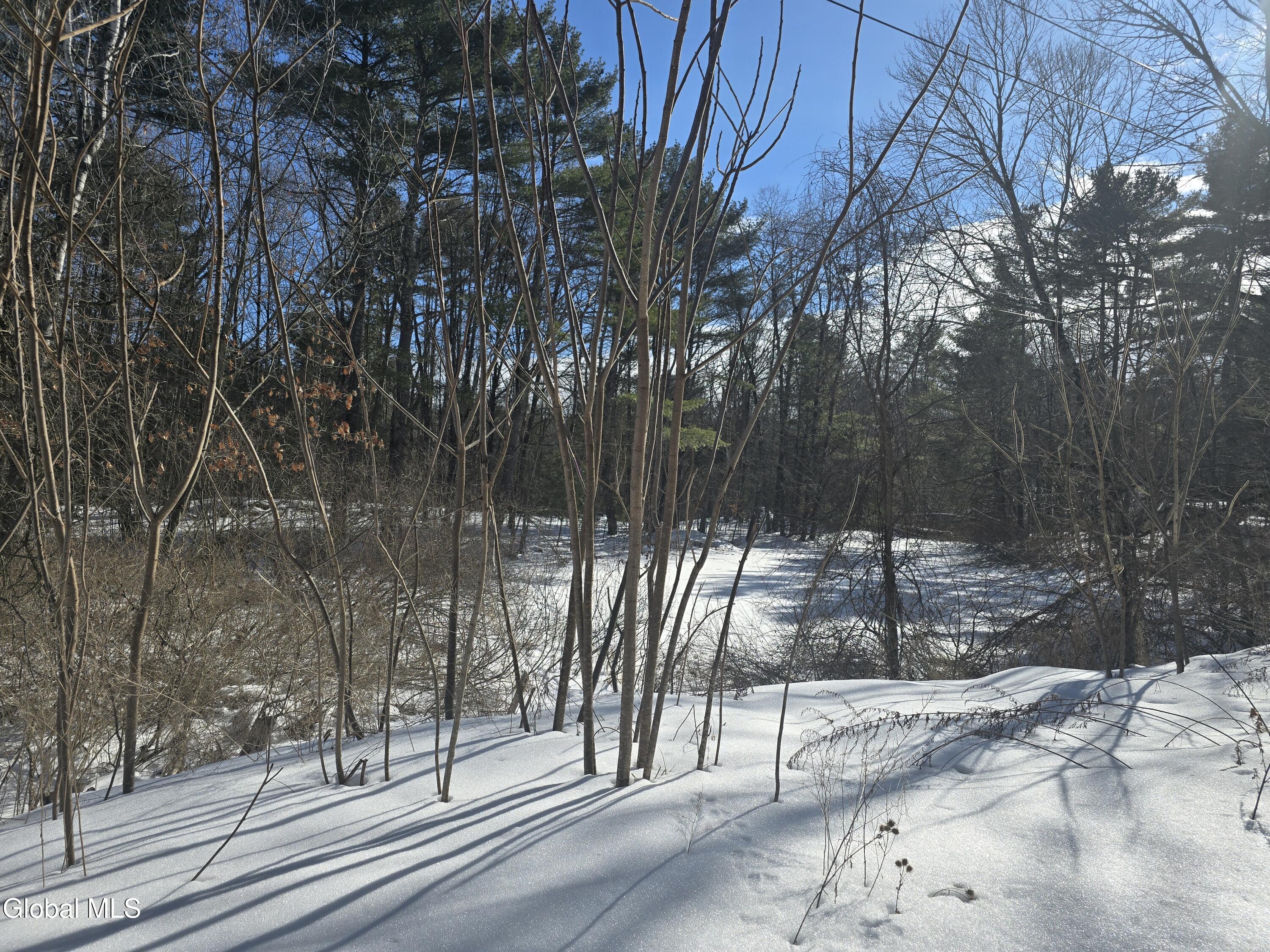 674 Lily Pond Road Granville, NY 12832 - Photo 2 of 2 lily pond