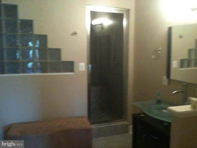 1156 Markell Court Reston, VA 20194 - Photo 11 of 26 Steam Room
